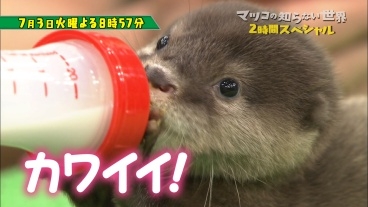 西城秀樹の妻（嫁）実家や経歴・年齢は？闘病秘話と真相。馴れ初めも