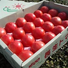 長生（ながいき）トマトは通販と購入方法で値段が。味の評判や口コミ