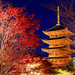 京都の紅葉2018の見頃時期や色づき予想！ライトアップはいつまで？